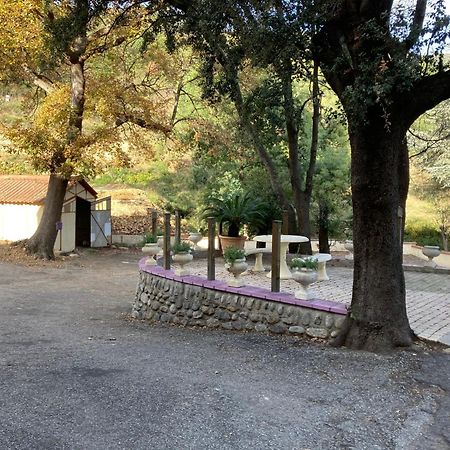 Domaine Des Anges Lejlighedshotel Amélie-les-Bains-Palalda Eksteriør billede